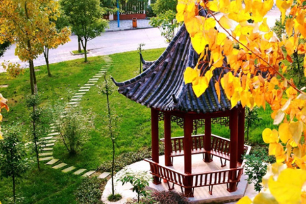 綿陽南山中學(xué)實(shí)驗(yàn)學(xué)校
