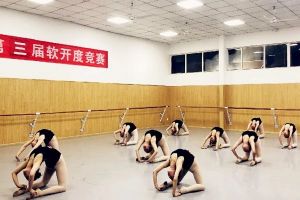 四川現(xiàn)代藝術(shù)學(xué)校舞蹈專業(yè)怎么樣