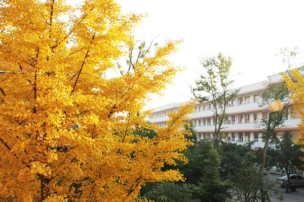 大邑中學(xué)地址
