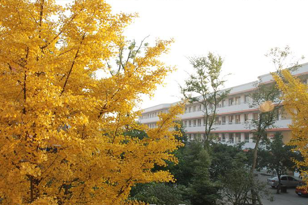 大邑中學(xué)
