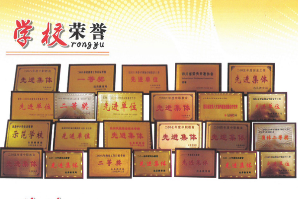 達州鳳凰職業(yè)技術學校招生