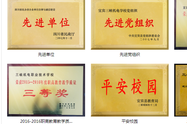 宜賓市敘州區(qū)金岷職業(yè)技術(shù)學(xué)校