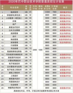 2021四川高職院校巴中職業(yè)技術(shù)學(xué)院學(xué)費(fèi)