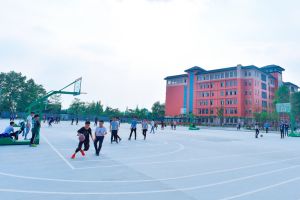 成都廣信數(shù)字技術(shù)職業(yè)學校是普高還是職高