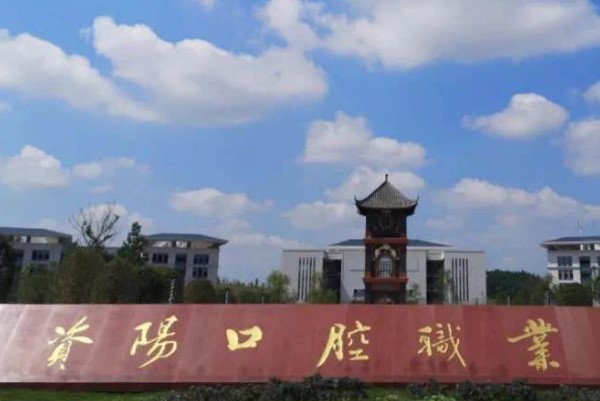 資陽口腔職業(yè)學(xué)院是公辦嗎