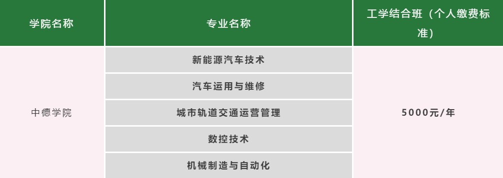 四川科技職業(yè)學(xué)院中德學(xué)院招生專業(yè)
