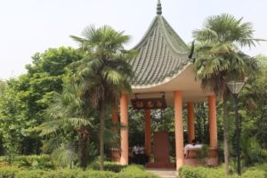 眉山工程技師學院怎么樣_是大專嗎