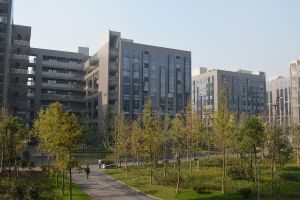 2021年成都北大青鳥學(xué)校招生簡(jiǎn)章|招生專業(yè)