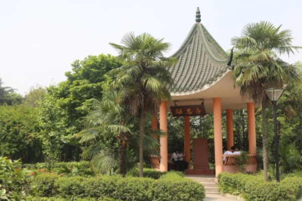 眉山工程技師學(xué)院有哪些專業(yè)