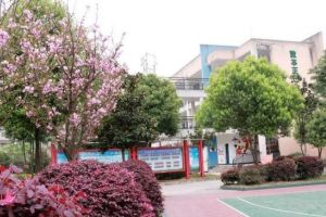 丹棱中學(xué)是初中加高中嗎_丹棱中學(xué)在哪里
