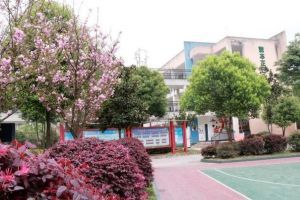 眉山市丹棱中學(xué)高中2021年錄取分?jǐn)?shù)線