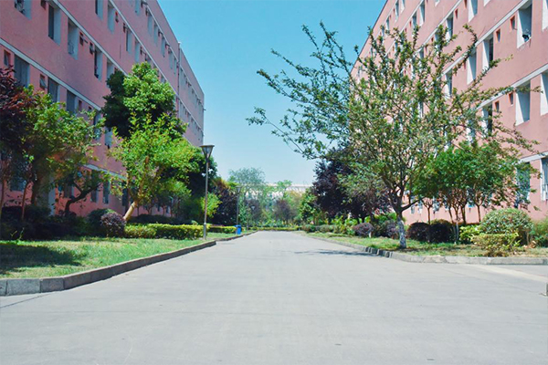 四川國(guó)盛技工學(xué)校正規(guī)嗎