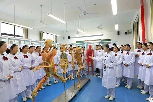 四川省經(jīng)濟管理學(xué)校護理專業(yè)好嗎