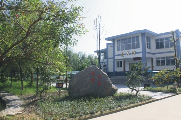 崇州懷遠(yuǎn)中學(xué)高考成績(jī)