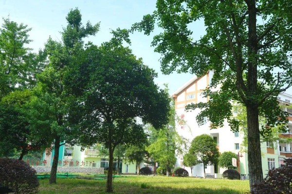 2021年都江堰市領(lǐng)川實(shí)驗(yàn)學(xué)校學(xué)費(fèi)