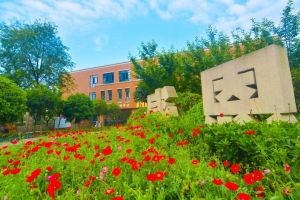 五月花學校招生電話和入學時間