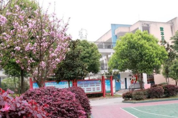 眉山丹棱中學好嗎