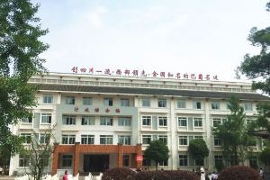 都江堰市領川實驗學校怎么樣口碑好不好