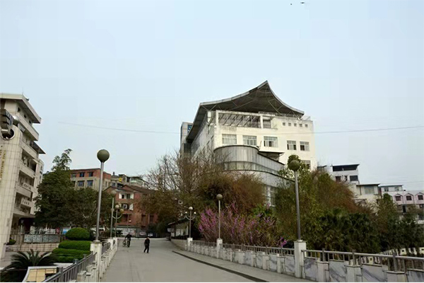 四川省安岳實(shí)驗(yàn)中學(xué)