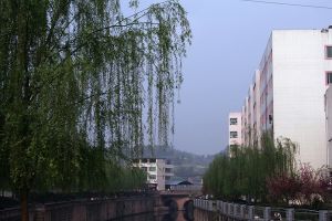 2021年安岳實(shí)驗(yàn)中學(xué)錄取分?jǐn)?shù)線