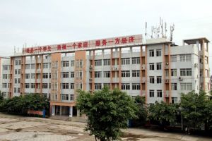 四川省大邑中學(xué)校風(fēng)好嗎