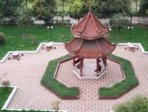 四川現(xiàn)代藝術(shù)學(xué)校的招生對(duì)象和報(bào)名條件