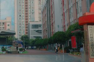 四川科技職業(yè)學(xué)院中專部汽修專業(yè)就業(yè)前景