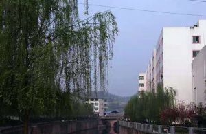 資陽安岳實驗中學口碑好一直好評