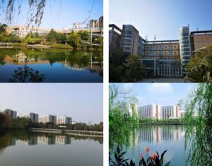 四川航空旅游職業(yè)學(xué)院空中乘務(wù)專好就業(yè)嗎