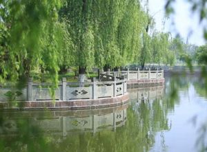 四川現(xiàn)代藝術(shù)學(xué)校一個藝術(shù)的搖籃基地