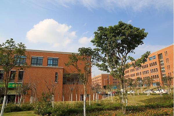 成都幼師中專學(xué)校哪家好