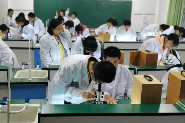 都江堰市領川實驗學校在什么地方