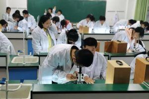 都江堰市領(lǐng)川實驗學(xué)校在什么地方