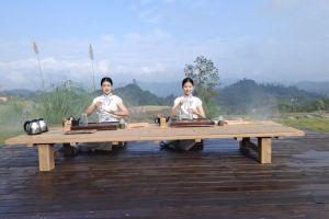 樂山市旅游學校旅游專業(yè)好不好