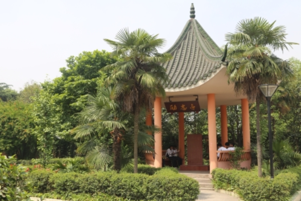 眉山工程技師學(xué)院招生專業(yè)