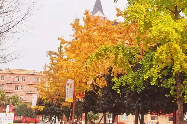 四川五月花技師學(xué)院