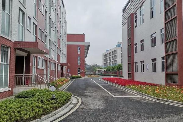 北外附屬東坡外國語學(xué)校升學(xué)率