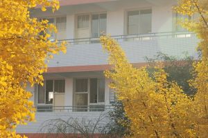 2022年四川省大邑中學(xué)招生簡章_錄取分?jǐn)?shù)線介紹