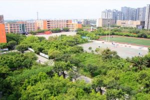 四川新華電腦學(xué)院2022年招生簡(jiǎn)章招生專業(yè)