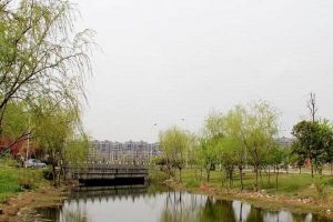 郫都四中錄取分數(shù)線2021年