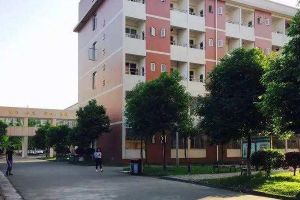 都江堰市技工學校2022年招生簡章|招生要求|招生專業(yè)