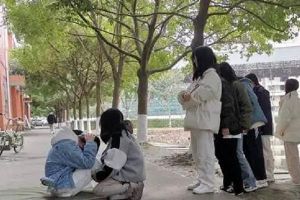 2022年成都鐵路衛(wèi)生學校分數(shù)線
