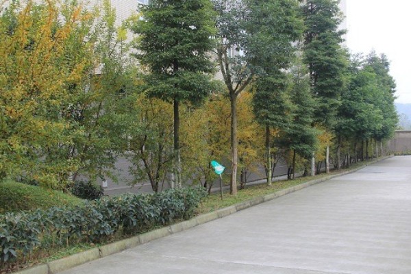 大邑職高