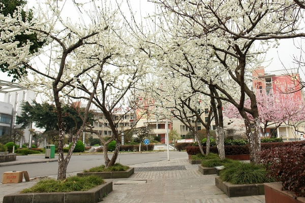江油中學(xué)錄取分?jǐn)?shù)線多少