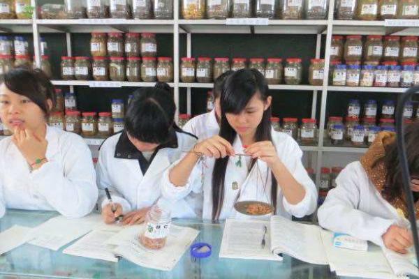 女孩學(xué)什么專業(yè)好