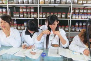 女孩學(xué)什么專業(yè)好最吃香的專業(yè)