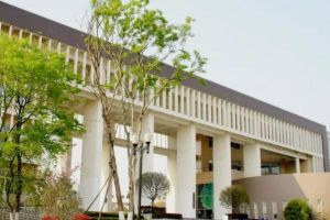 2022年成都市文化藝術(shù)學校招生簡章|招生要求