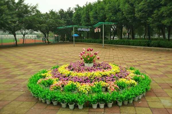 樂(lè)山計(jì)算機(jī)學(xué)校就業(yè)