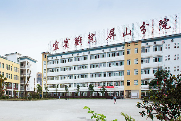 職業(yè)技術(shù)學(xué)校