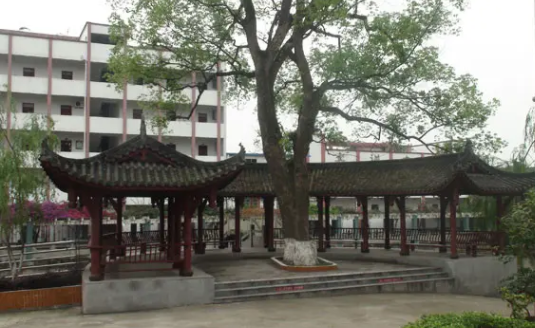 合江縣先市職業(yè)高級中學(xué)校